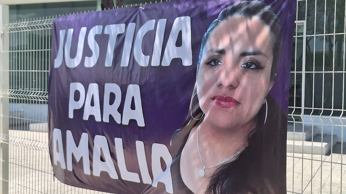 Familiares y amigos de Amalia se manifestaron pacíficamente para exigir la resolución de su caso